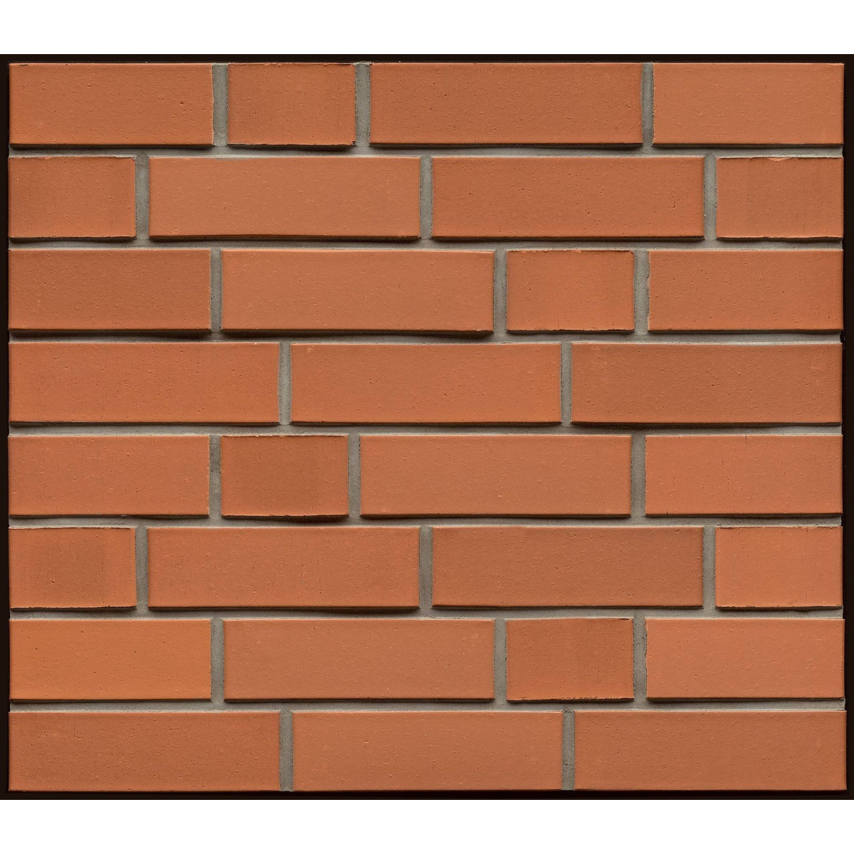 Клинкерный кирпич Feldhaus 490 NF Classic