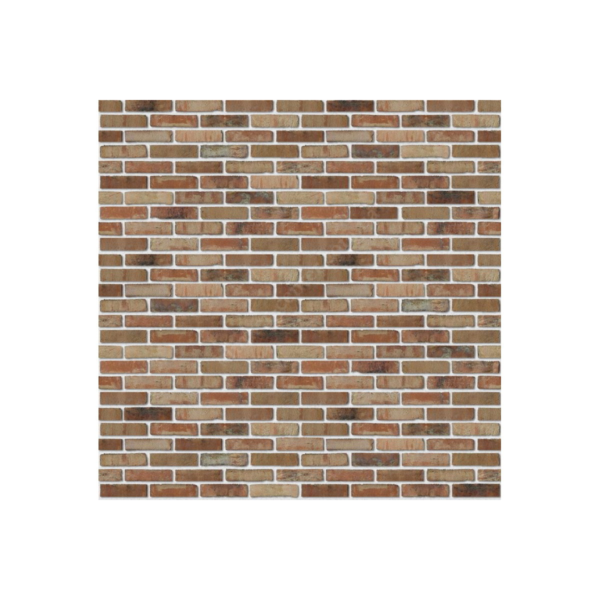 Кирпич ручной формовки S.Anselmo Ecocolor EC, NF 240x115x70