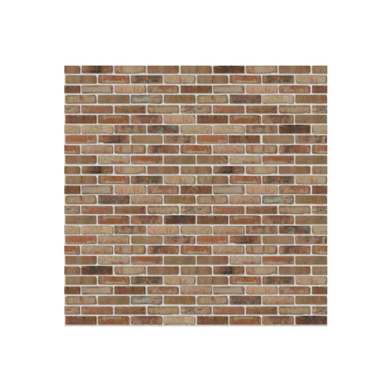Кирпич ручной формовки S.Anselmo Ecocolor EC, NF 240x115x70