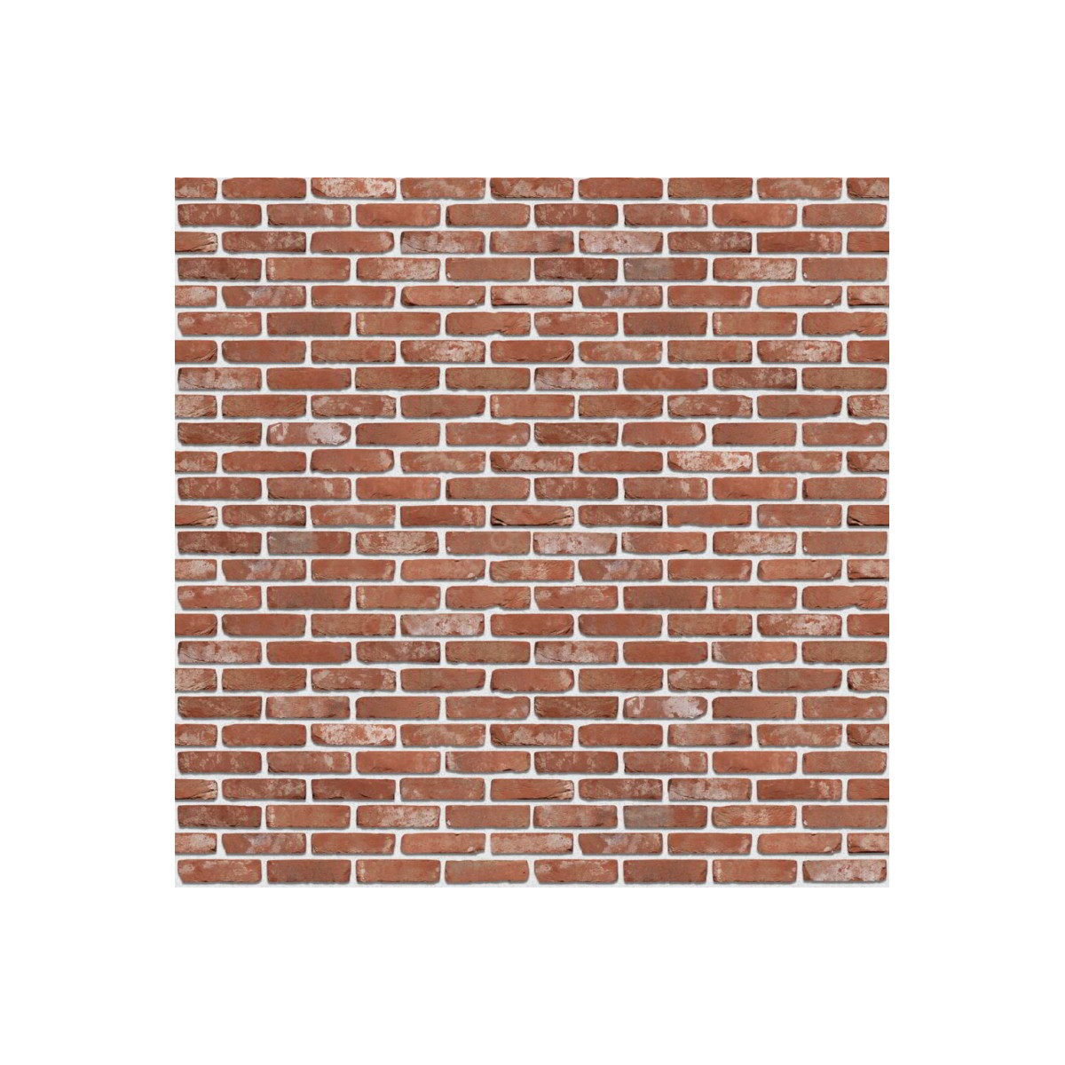 Кирпич ручной формовки S.Anselmo Ecocolor Burattatto e Anticatto ECWA, NF 240x115x70 мм