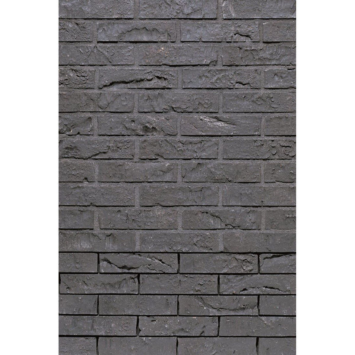Облицовочный кирпич Vandersanden 403. Briljant Zwart Impres.