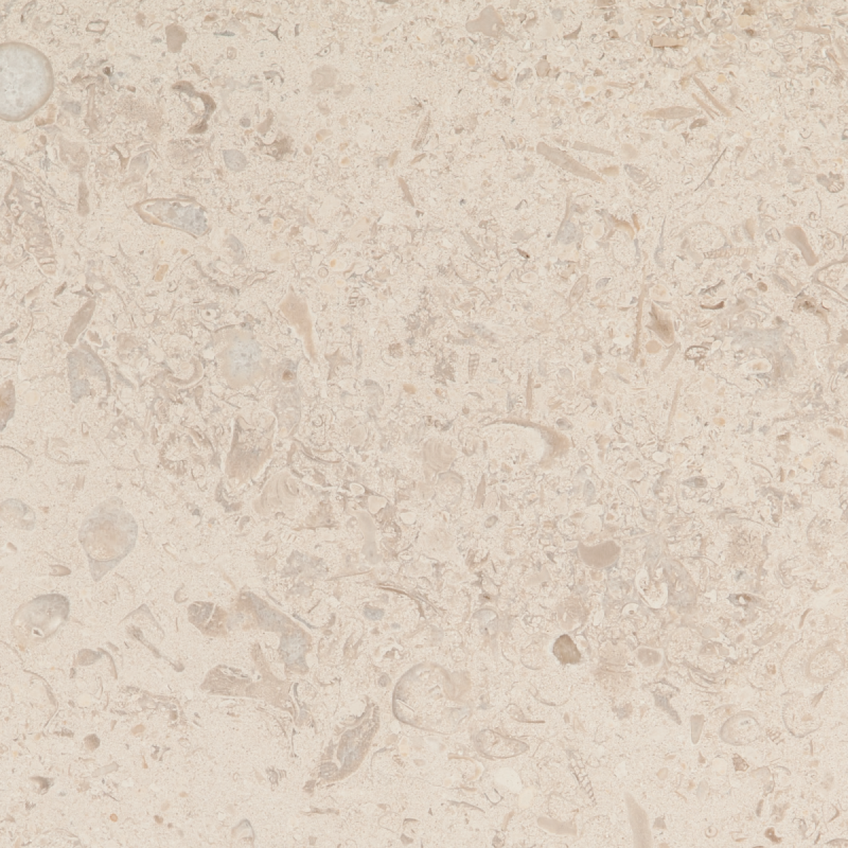 Известняк Silver Creme