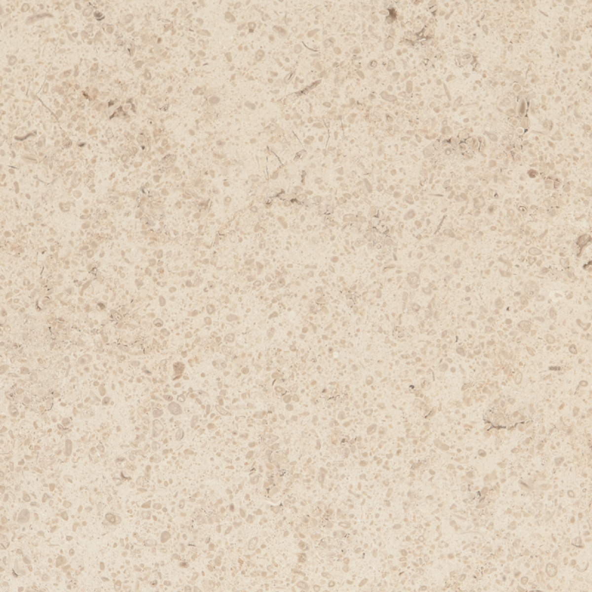 Известняк Onia Beige