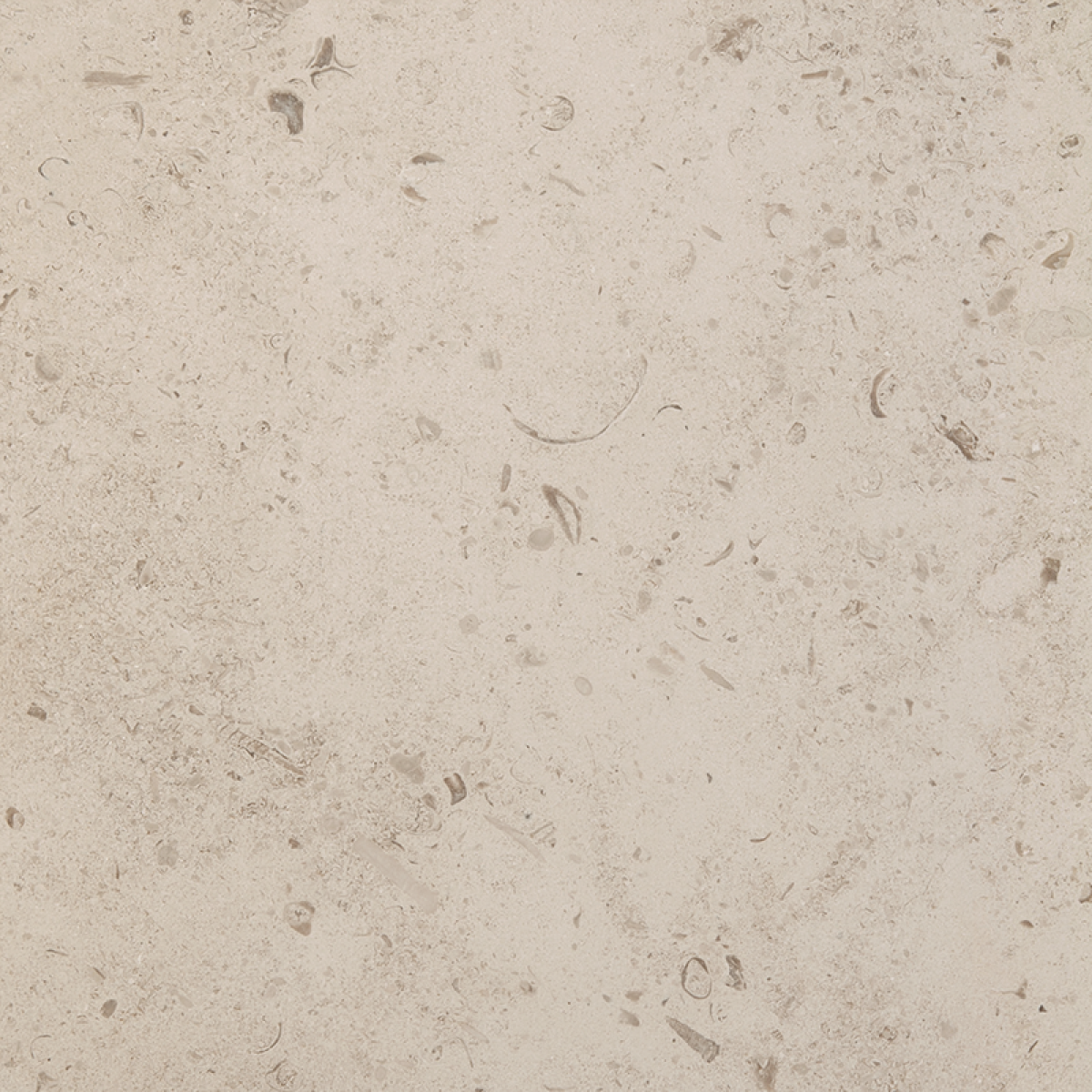 Известняк Gascogne Beige