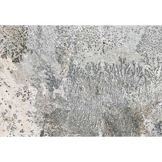 Натуральный сланец Wall Tiles Oros