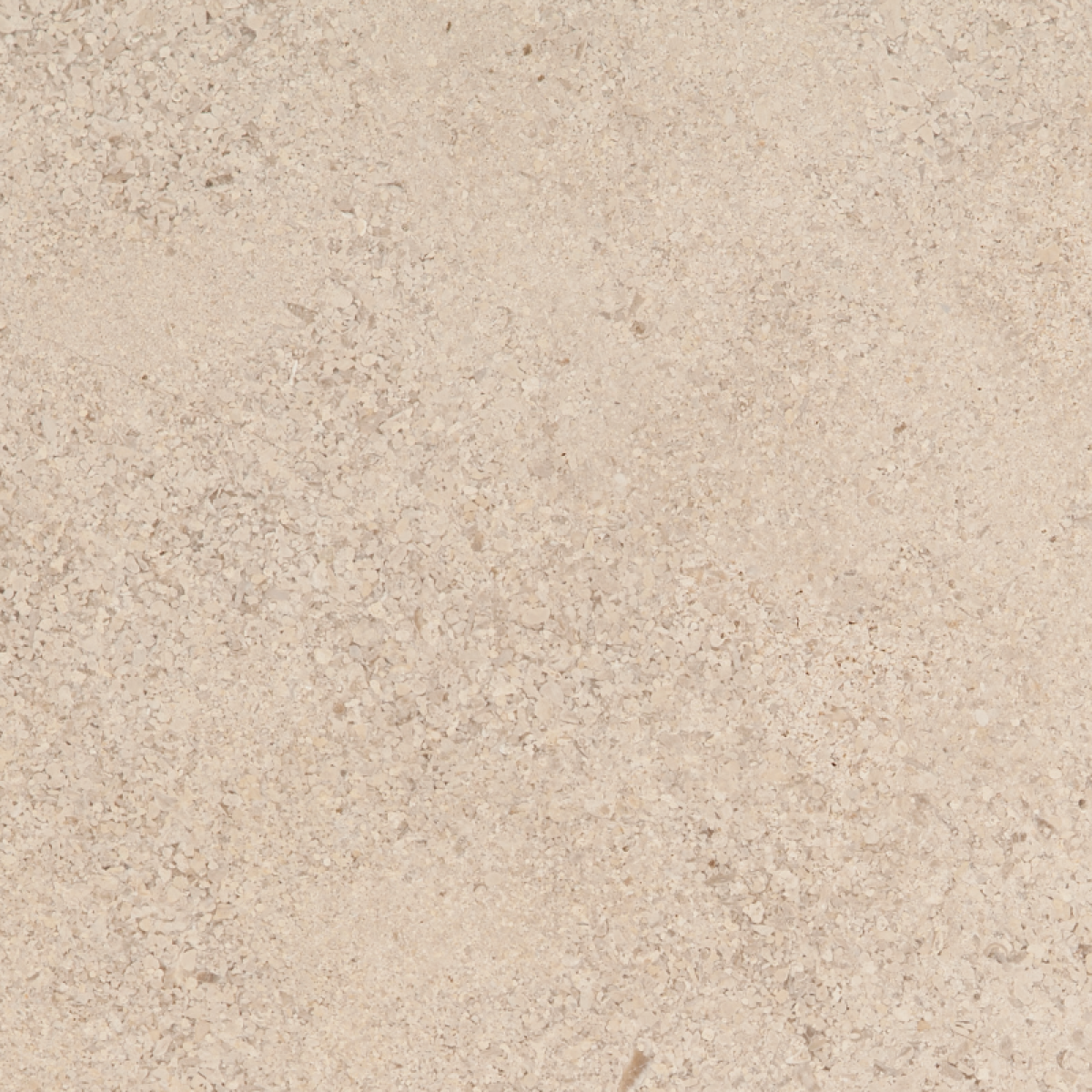 Известняк Creme Camel