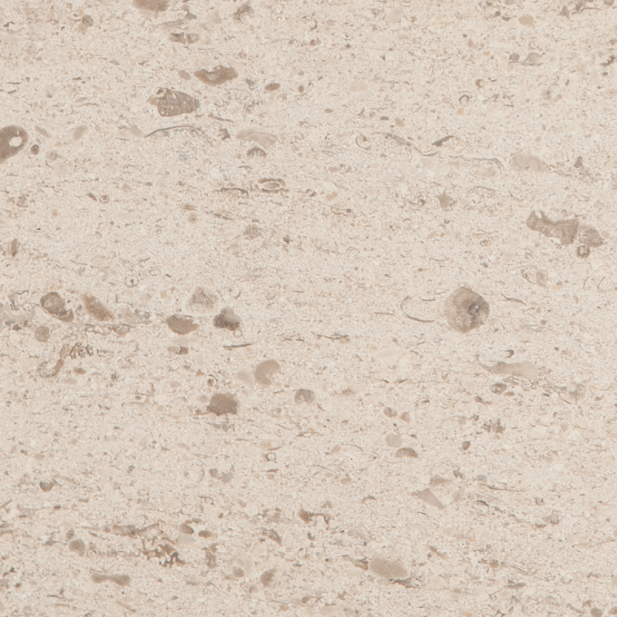 Известняк Moca Creme CLA